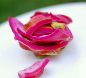 kulit buah naga